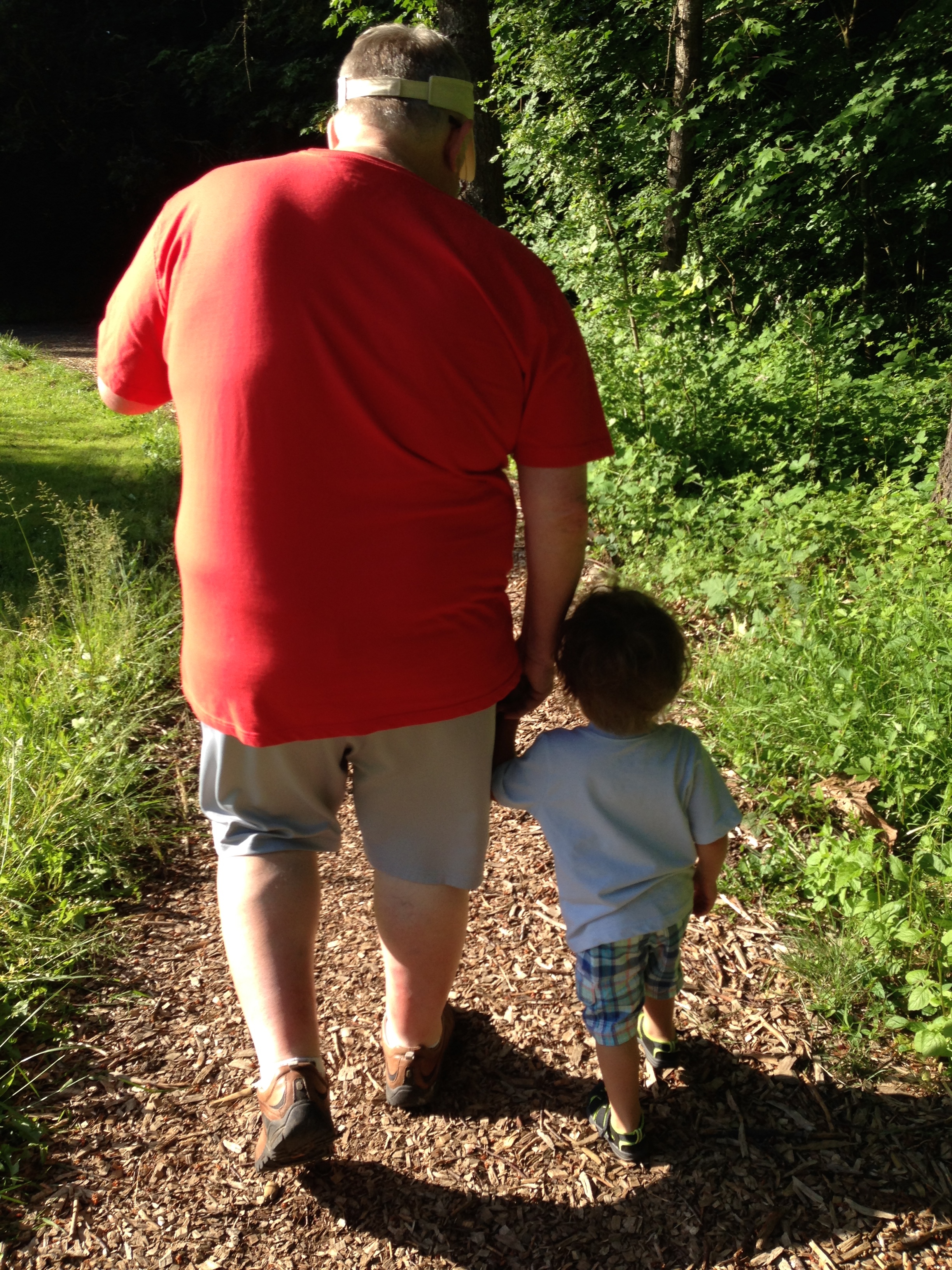 Berry Picking